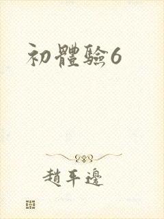 初体验6封面