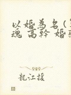 以婚为名 (军魂 高干 婚恋)