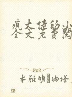 疯大佬的小玩物全文免费阅读小说封面