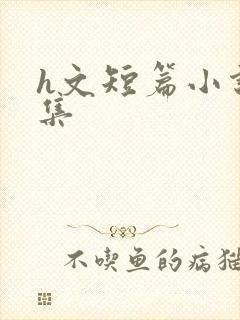h文短篇小说合集
