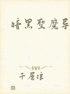 暗黑圣魔导