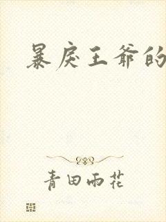 暴戾王爷的贱妾封面