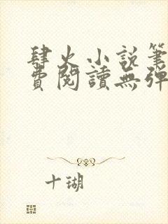 肆火小说笔趣免费阅读无弹窗封面