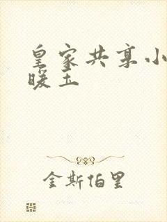 皇家共享小公主暖玉