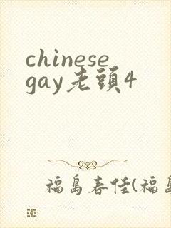 chinesegay老头4