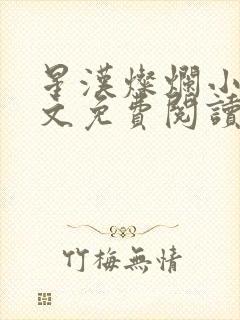 星汉灿烂小说全文免费阅读