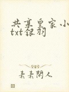 共享皇家小公主txt银羽