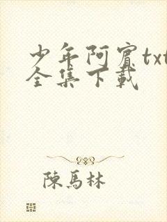 少年阿宾txt全集下载