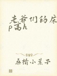 老爷们的床奴np高h