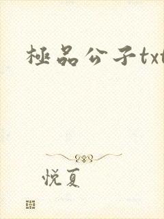 极品公子txt