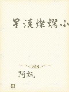 星汉灿烂小说