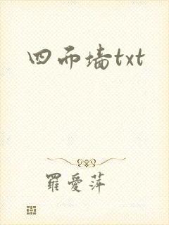 四面墙txt封面