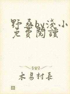 野桑by浅小说免费阅读