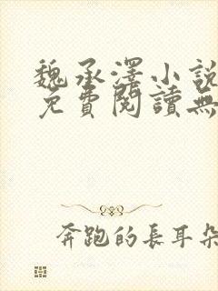 魏承泽小说全文免费阅读无弹窗笔趣封面