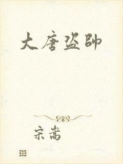 大唐盗帅封面