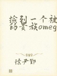 捡到一个被抹布的贵族omega封面