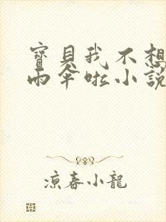 宝贝我不想带小雨伞啦小说封面