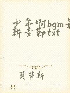 少年啊bgm最新章节txt封面