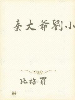秦大爷刘小静