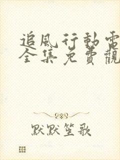 追风行动电视剧全集免费观看