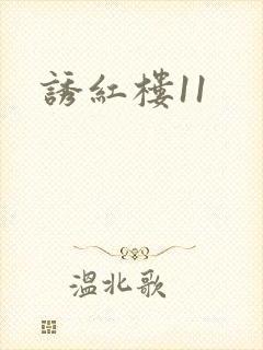 诱红楼11