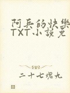阿兵的快乐生活TXT小说免费阅读全章封面