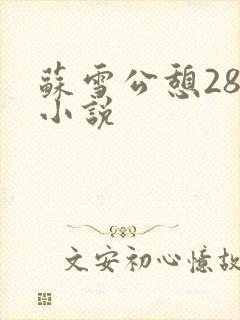 苏雪公憩28篇小说