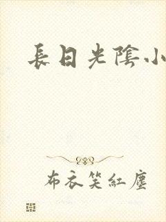 长日光阴小说