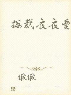 总裁夜夜爱