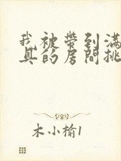我被带到满是玩具的房间挑调作文