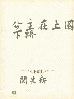公主在上国师请下轿