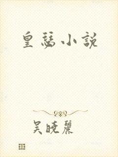 皇瑟小说封面
