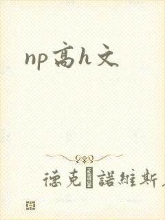 np高h文