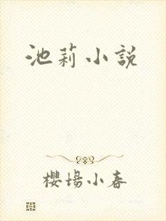 池莉小说封面