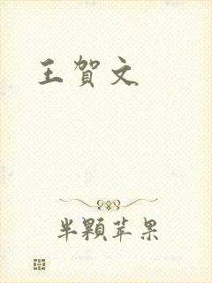 王贺文