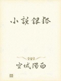 小说银狐
