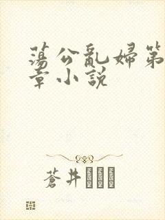 荡公乱妇第51章小说