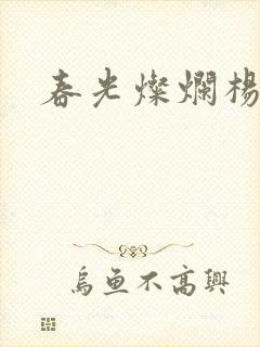 春光灿烂杨家将封面