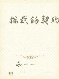 总裁的契约情人