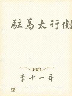 驻马太行侧