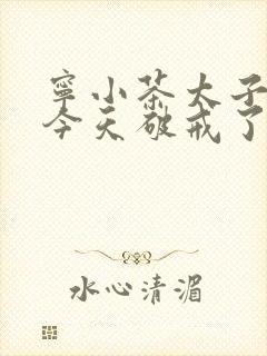 宁小茶太子殿下今天破戒了吗免费阅读封面