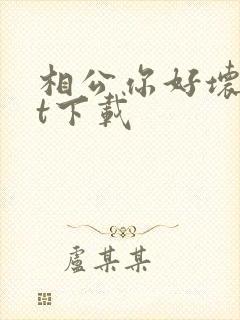 相公你好坏txt下载