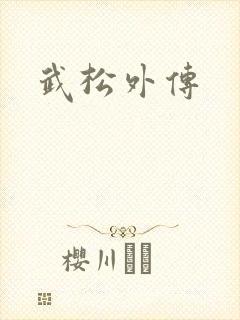 武松外传
