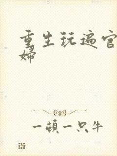 重生玩遍官场贵妇