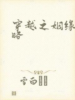穿越之姻缘劫攻略封面