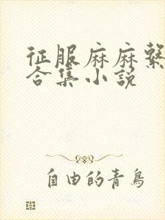 征服麻麻系列大合集小说