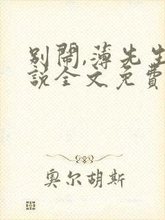 别闹,薄先生小说全文免费阅读