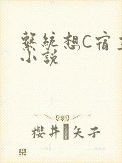 系统想C宿主的小说