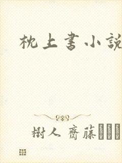 枕上书小说