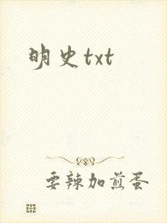 明史txt封面